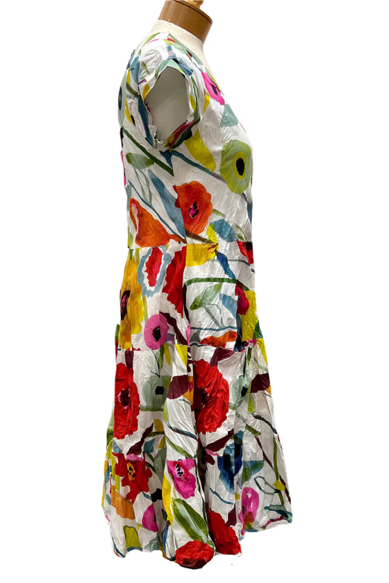 Dress Addict Jalan Dress in Print 5C
