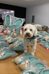 French Knot Wilbur Slipper in Turquoise