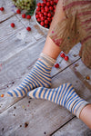 Magnolia Pearl French Stripe MP Socks in Big Top Blue - SOCKS125-BTBL-OS